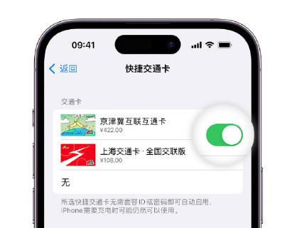 安溪apple维修点分享iPhone上更换Apple Pay快捷交通卡手绘卡面 