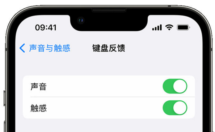 安溪苹果手机维修分享iPhone 14触感键盘使用方法 