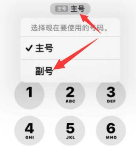 安溪苹果14维修店分享iPhone 14 Pro Max使用副卡打电话的方法 