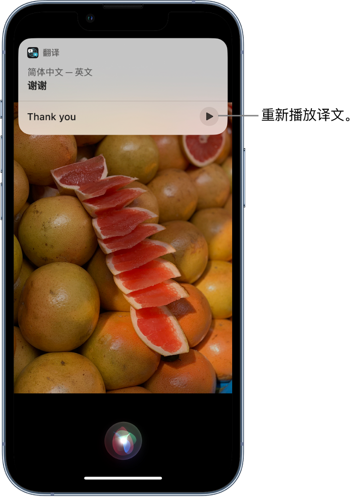 安溪苹果14维修分享 iPhone 14 机型中使用 Siri：了解 Siri 能帮你做什么 