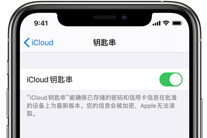 安溪苹果手机维修分享在 iPhone 上开启 iCloud 钥匙串之后会储存哪些信息 