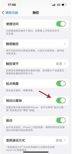 安溪苹果手机维修分享iPhone手机如何设置摇一摇删除文字 